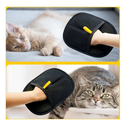 Gant de toilettage pour chien et chat